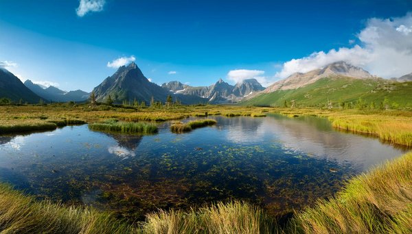 Discover Yorkshire Dales: Top Vacation Rentals by Famous Heritage Steam Railways